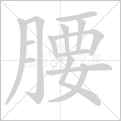 腰的造詞|腰字造詞,腰字詞語大全 